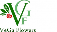 VeGa Flowers Санкт-Петербург